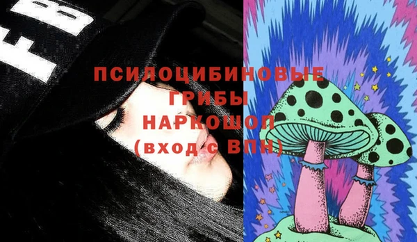 ПСИЛОЦИБИНОВЫЕ ГРИБЫ Волоколамск