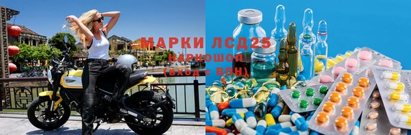 ПСИЛОЦИБИНОВЫЕ ГРИБЫ Волоколамск