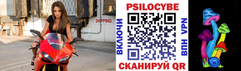 Купить закладки  Ливны  Псилоцибиновые грибы ЛСД 